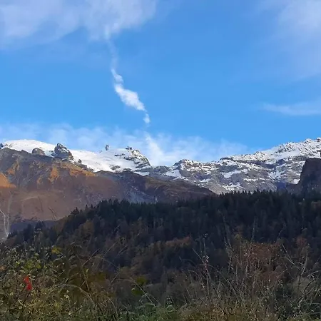 Tannenboden Appartement Engelberg