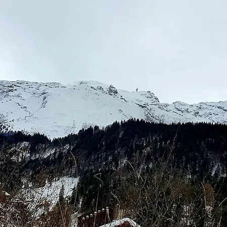 Apartment Tannenboden Engelberg