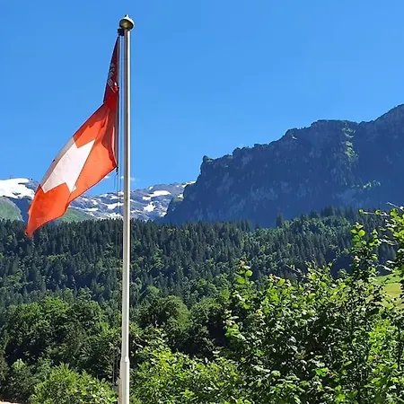 Tannenboden Appartement *