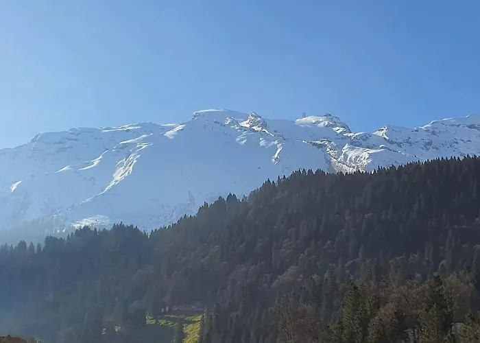 Tannenboden Engelberg