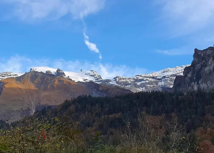 Tannenboden Apartment Engelberg