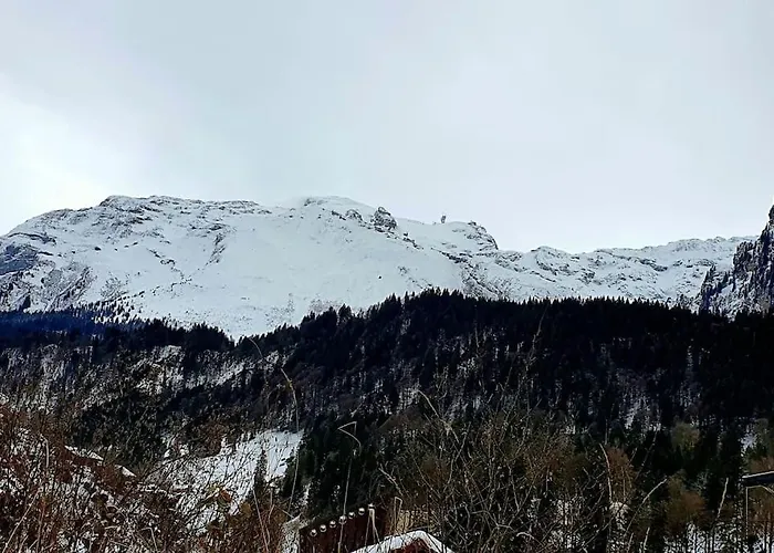 Apartment Tannenboden Engelberg