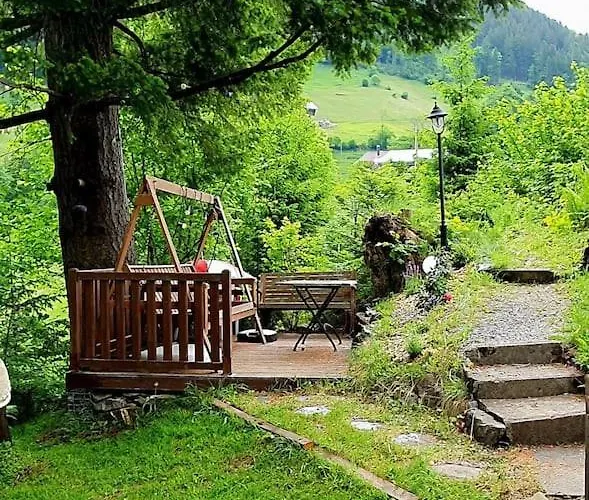 Tannenboden Apartment *